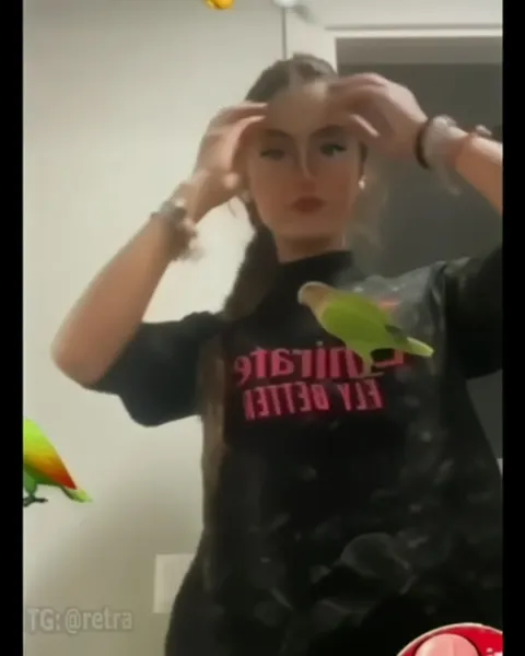 Parrot Goes to Heaven