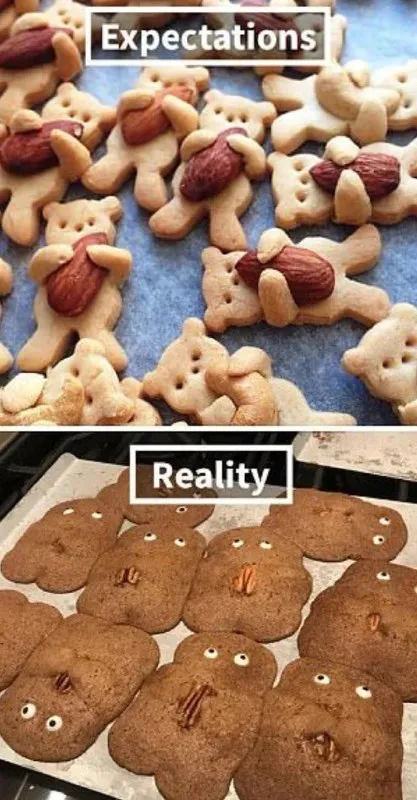 Cookie Expectations vs Reality
