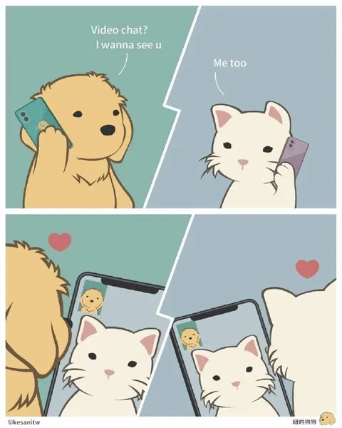 Cute Video Chat