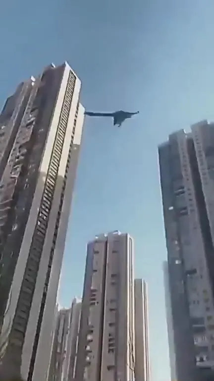Поймать птицу рукой