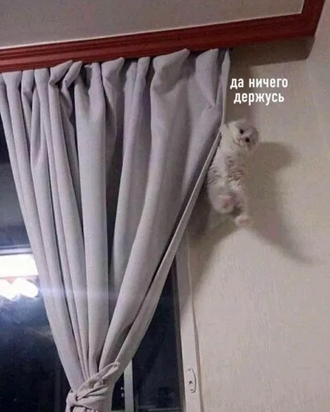 Да ничего, держусь