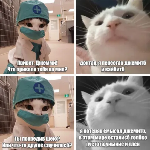 Кот-доктор и потеря смысла