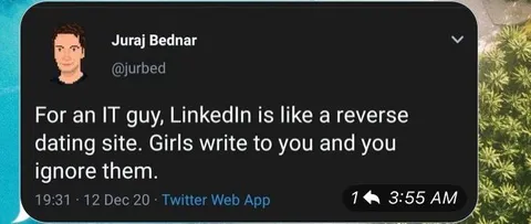LinkedIn Reverse Dating Site