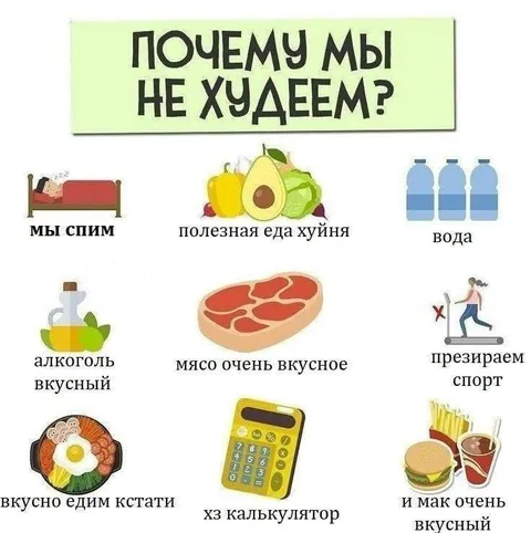 Почему мы не худеем