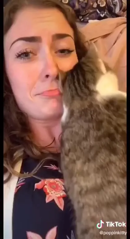 Ophelia the Boundary-Less Cat