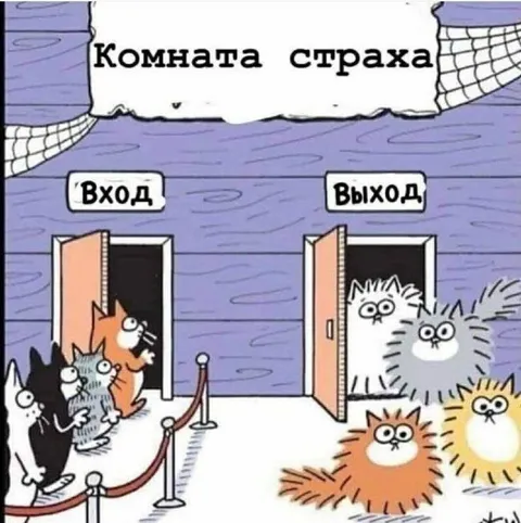 Комната страха для котов
