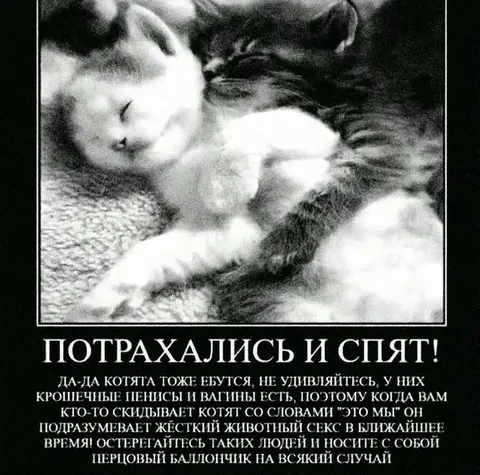 Потрахались и спят