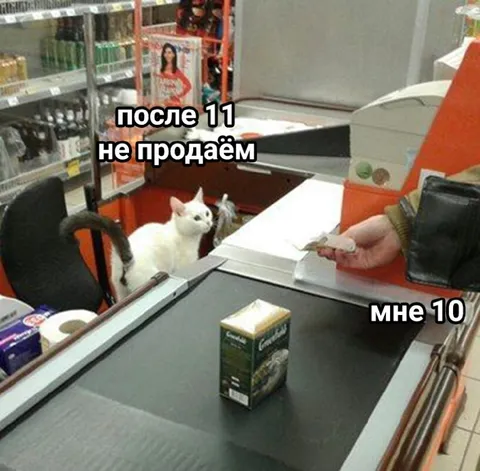 Кот пытается купить после 11