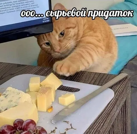 Кот — сырьевой придаток