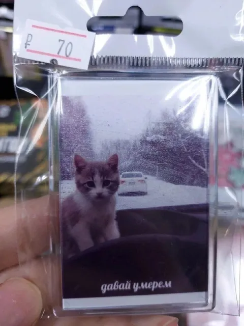 Кот предлагает умереть