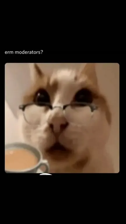 Cat Reports the Tea Disturbers