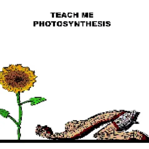 Teach Me Photosynthesis