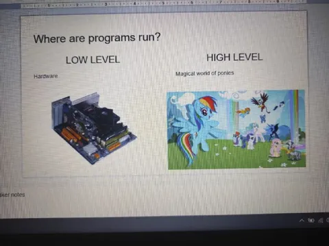 Where Programs Run