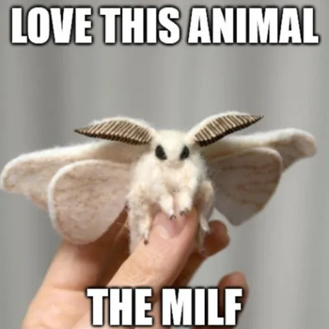 Love This Animal The MILF