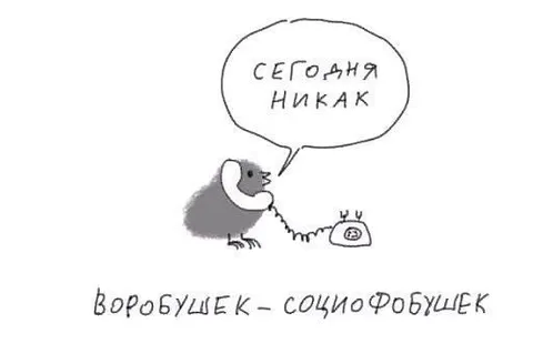 Воробушек-социофобушек