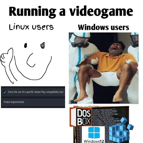 Running a Videogame on Windows