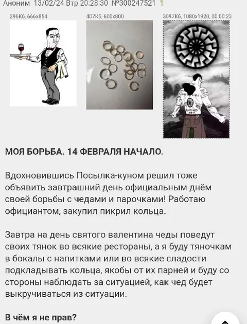 Моя борьба с чедами