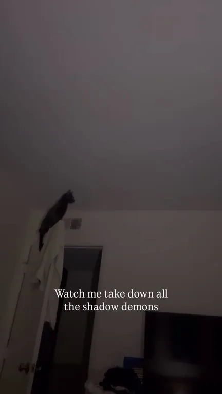 Shadow Demon Hunting Cat