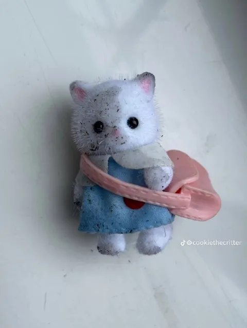 Котёнок в розовом круге
