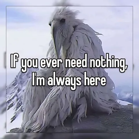 Always Here When You Need Nothing
