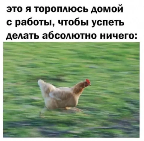 Тороплюсь домой, чтобы ничего не делать