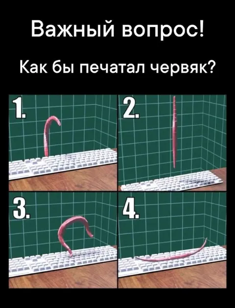 Как бы печатал червяк