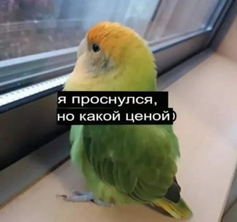 Проснулся, но какой ценой