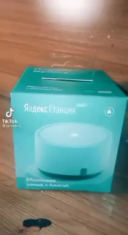 Яндекс Станция против таракана