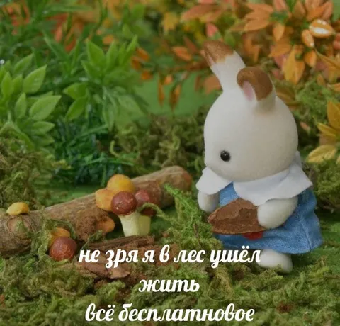 Кролик ушёл жить в лес