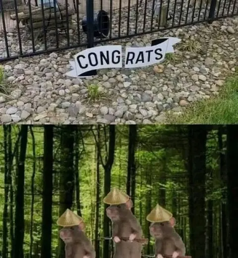 Broken Congrats Sign