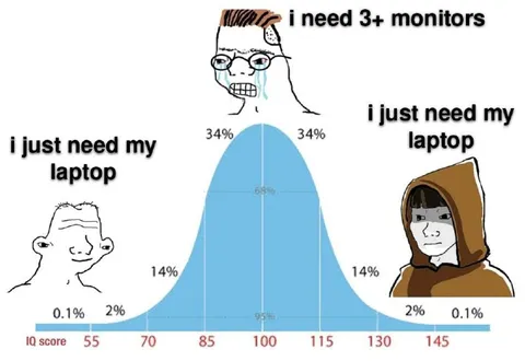 I Just Need My Laptop