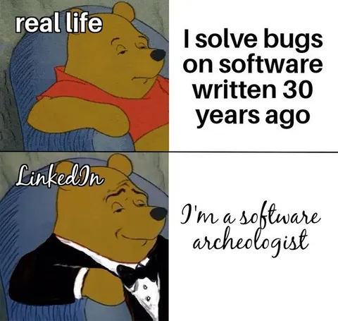 Winnie the Pooh Software Archaeologist
