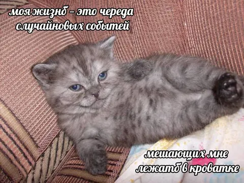 Жизнь мешает лежать в кроватке