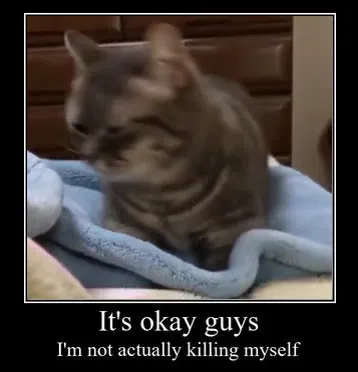 Cat Turns Away Dramatically