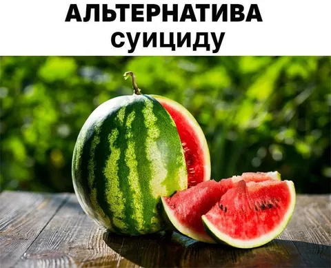 Альтернатива суициду — арбуз