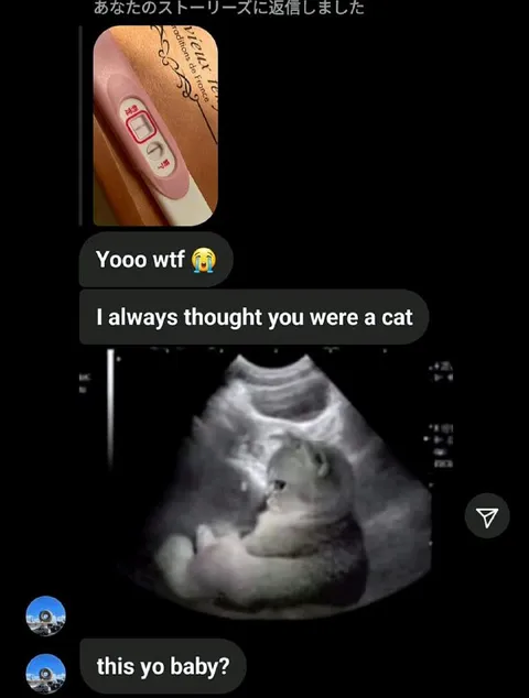 I Thought You Were a Cat