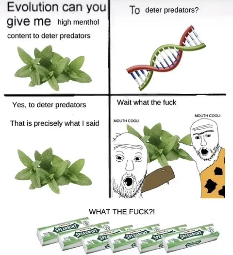 Evolutionary Mint Misunderstanding