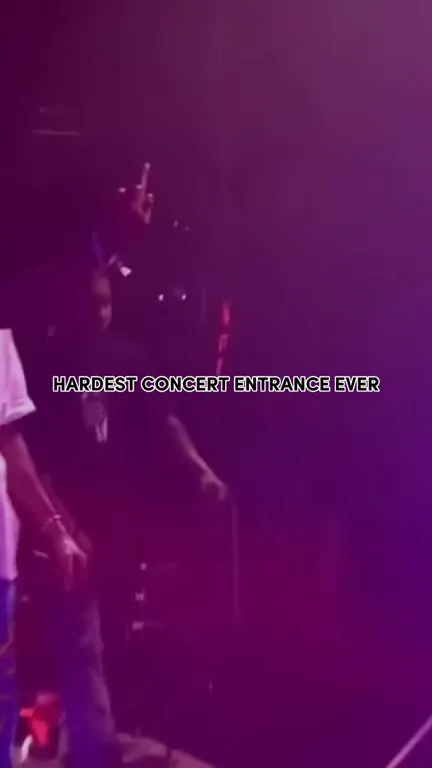 Hardest Concert Entrance Ever