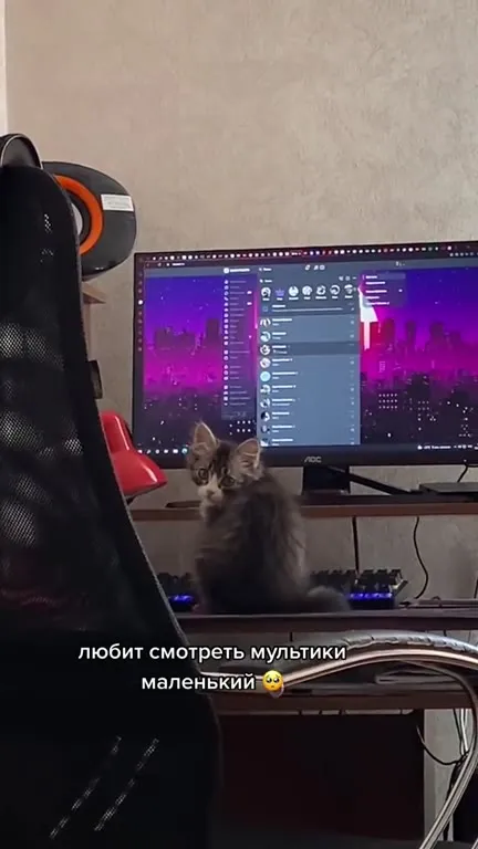 Маленький любит мультики