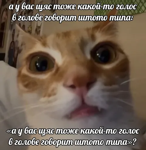 Голос в голове у кота