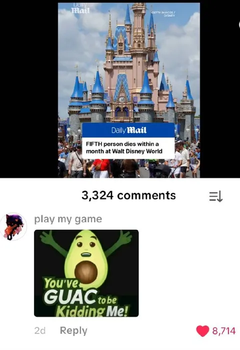 Disney World Fifth Person Dies