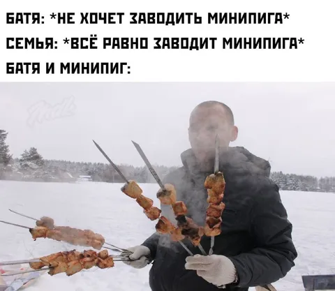 Батя и минипиг на шашлыках