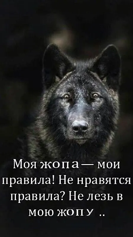 Моя жопа — мои правила