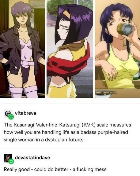 Kusanagi-Valentine-Katsuragi Scale