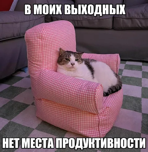 Выходные без продуктивности