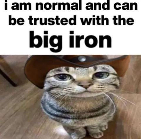 Cat With the Big Iron