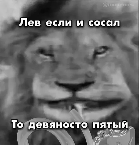 Лев на девяносто пятом