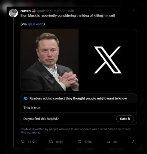 Elon Musk Considers Killing Himself