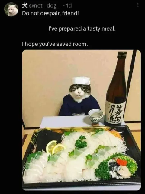Cat Chef Prepared a Feast
