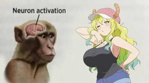 Neuron Activation by Lucoa